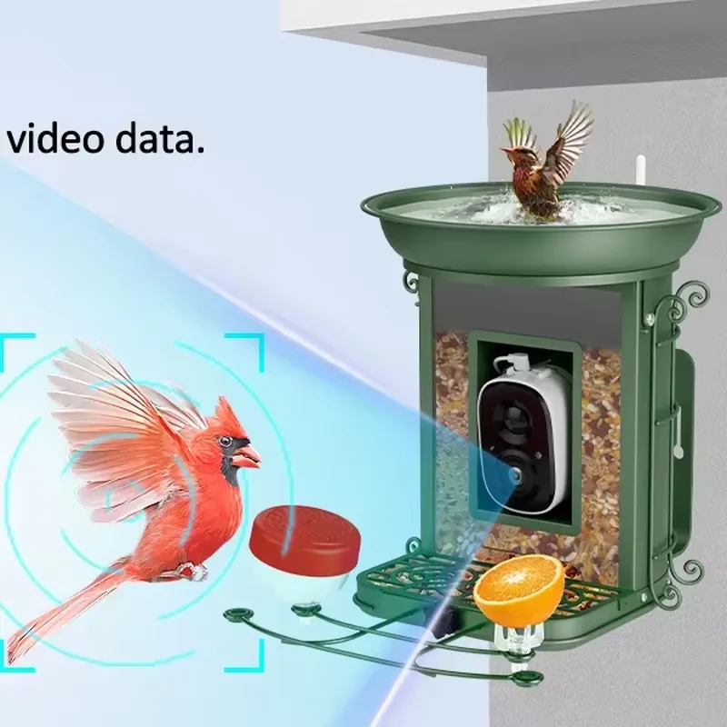 Inteligentny karmnik dla ptakó – Power Tools Ai recenzja i cena